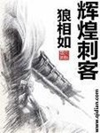 輝煌刺客
